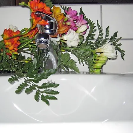 Le Fresie 3* Νουόρο