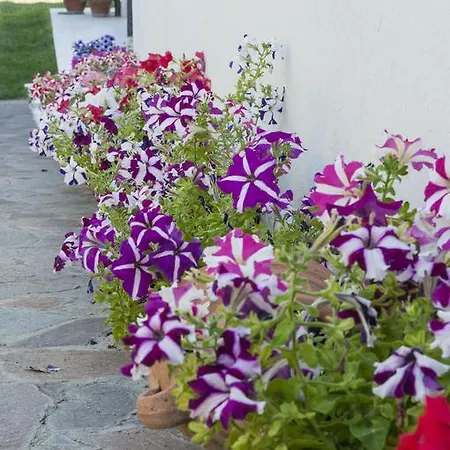 Le Fresie Bed & Breakfast Nuoro (Sardinia)