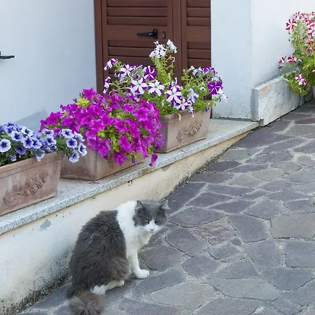 Le Fresie Bed & Breakfast