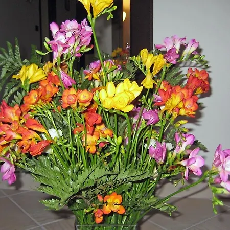 Le Fresie ヌーオロ